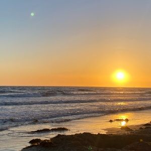 Meet your Posher, Lulu